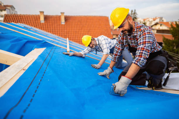 Best Gutter Installation and Roofing  in Monticello, MS