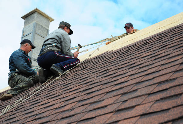 Best Roof Waterproofing Services  in Monticello, MS